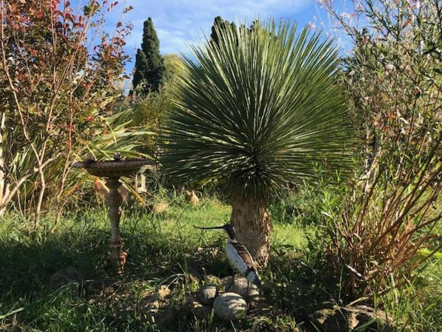 Appartement Dans Mas Provencal Grans エクステリア 写真