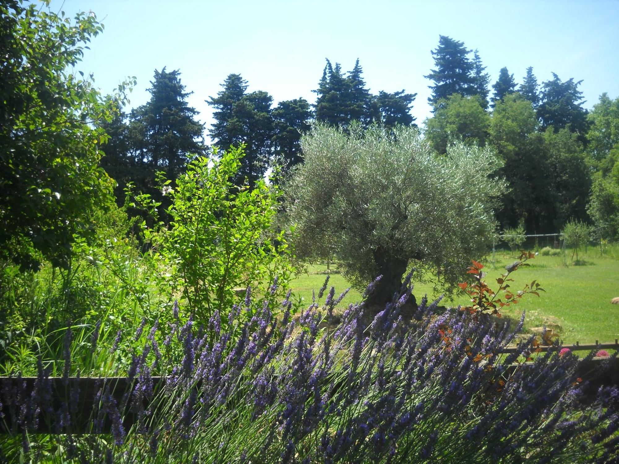 Appartement Dans Mas Provencal Grans エクステリア 写真